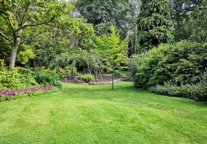 Optimiser l'expérience du jardin à Le Bourg-Saint-Leonard